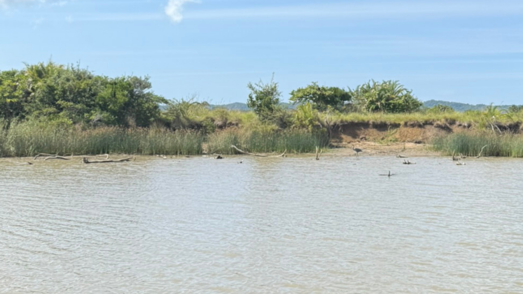 23